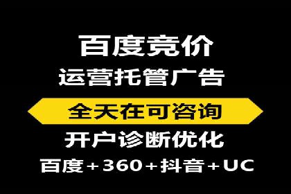 SEM推广策略：成功案例解析